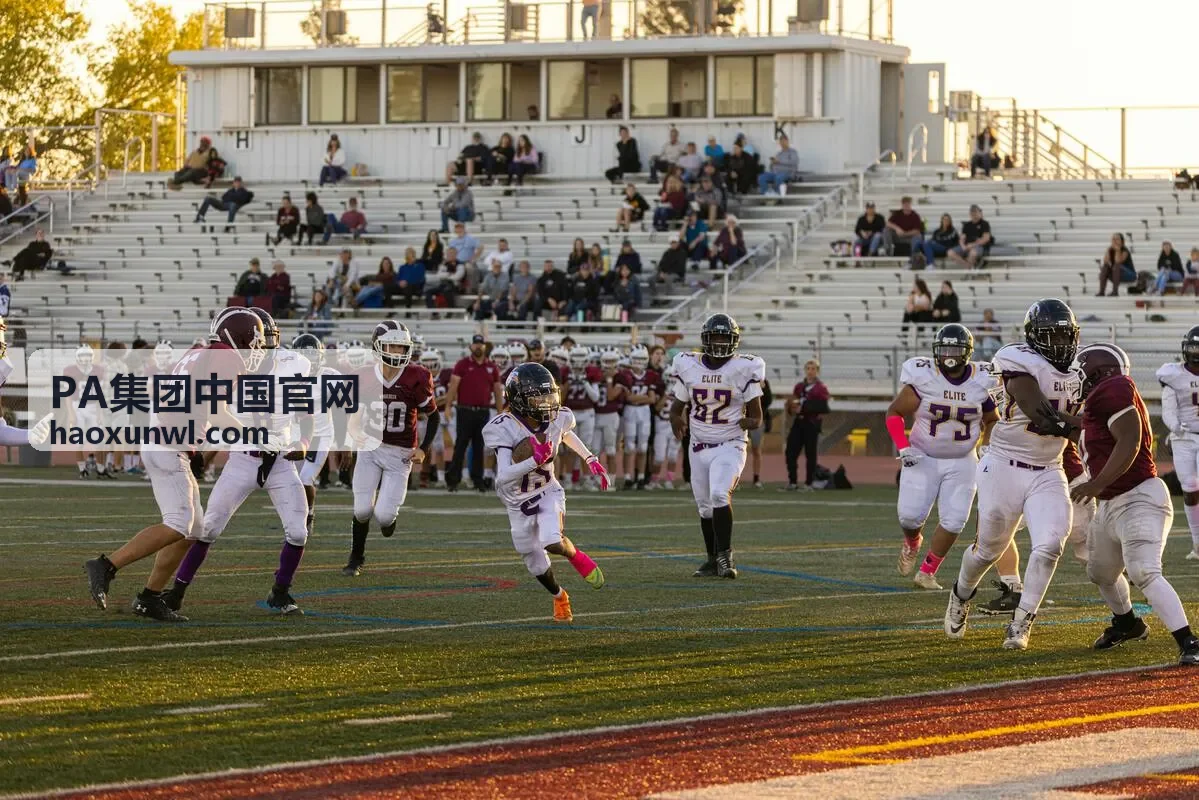 PA集团战略咨询